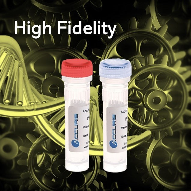 PR1000-HF-1000 | Accuris High Fidelity DNA Polymerase, 1000 Units